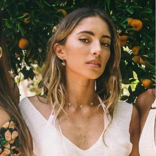 Chic Butterfly Choker Necklace