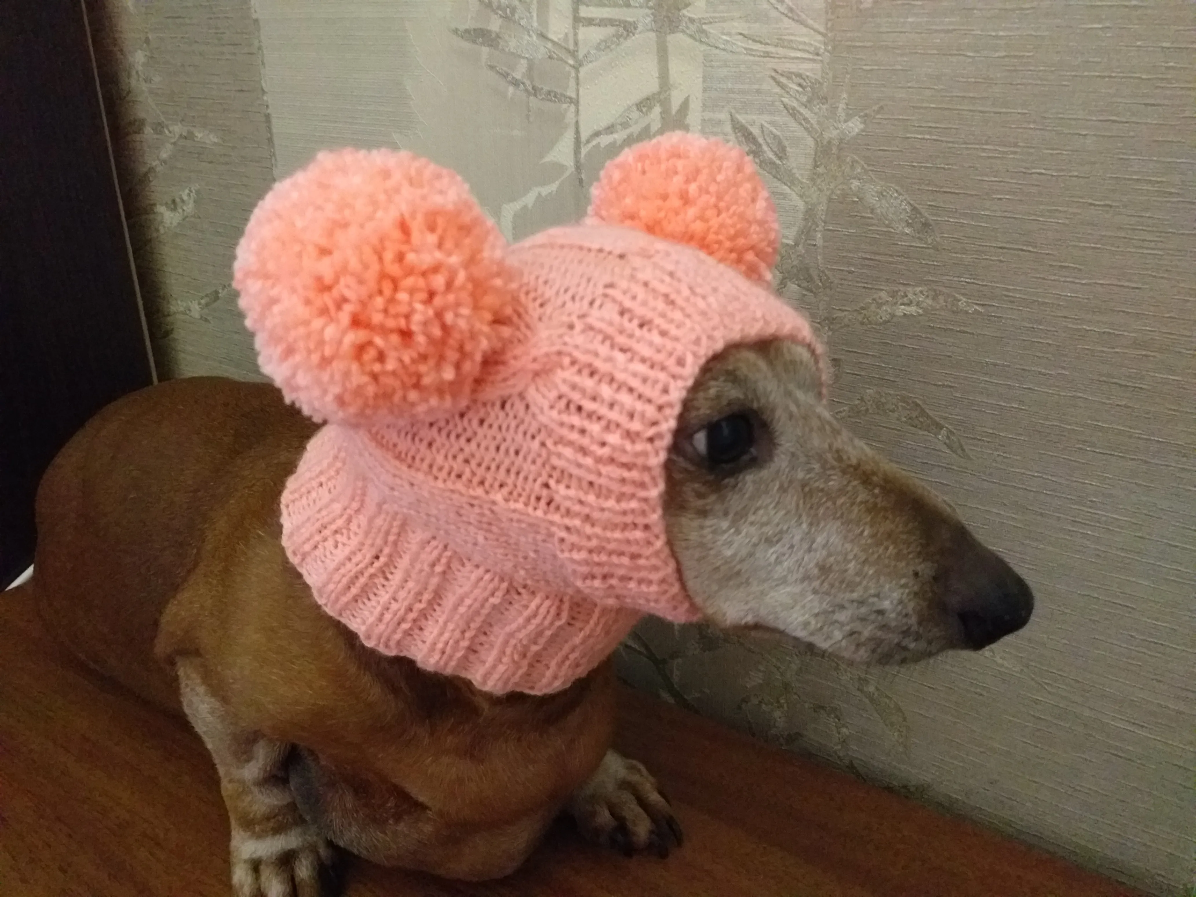 Dachshund clothes pink two pom pom hat, dog pom pom hat, clothes pom pom hat for small dogs