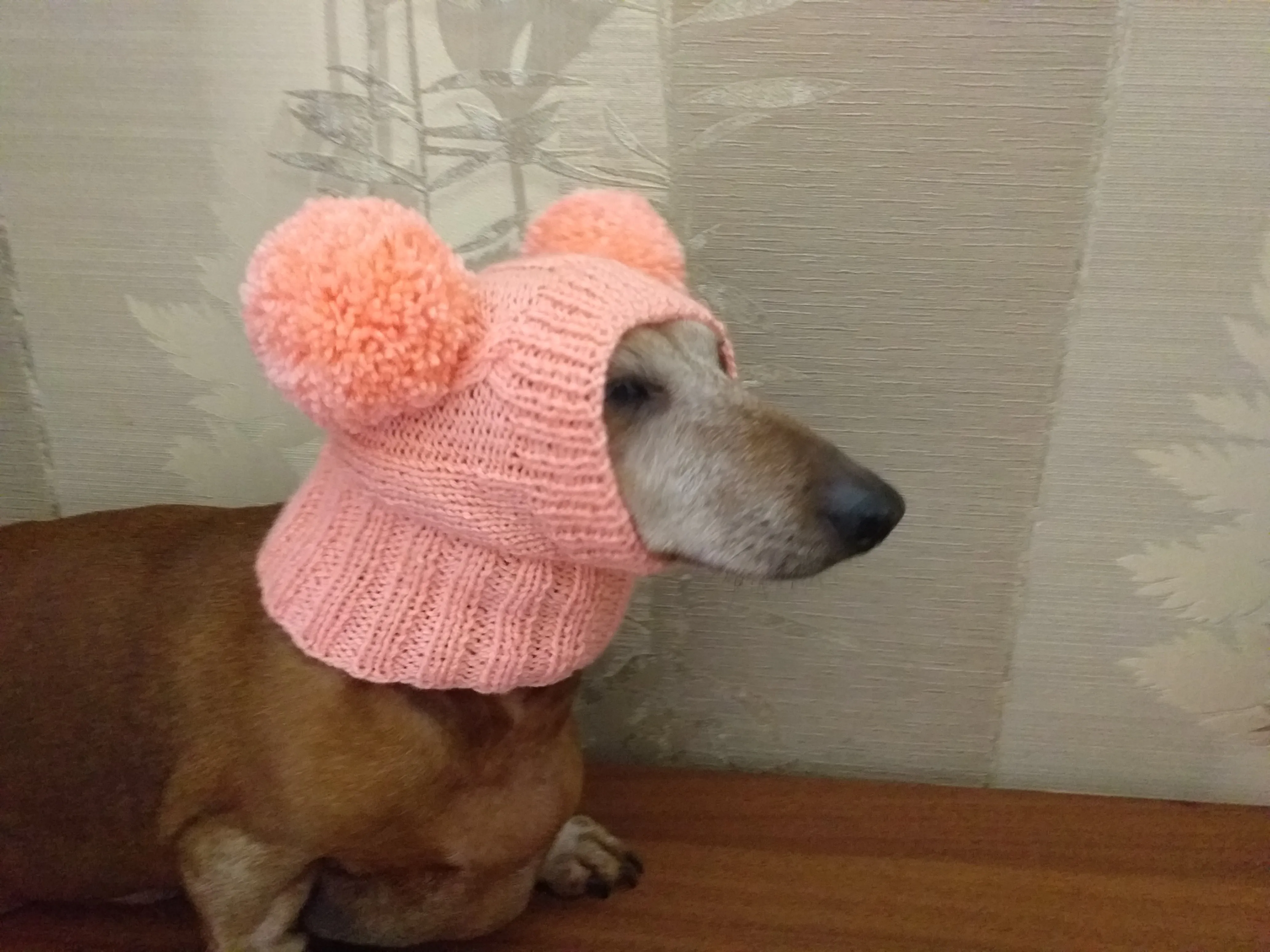 Dachshund clothes pink two pom pom hat, dog pom pom hat, clothes pom pom hat for small dogs
