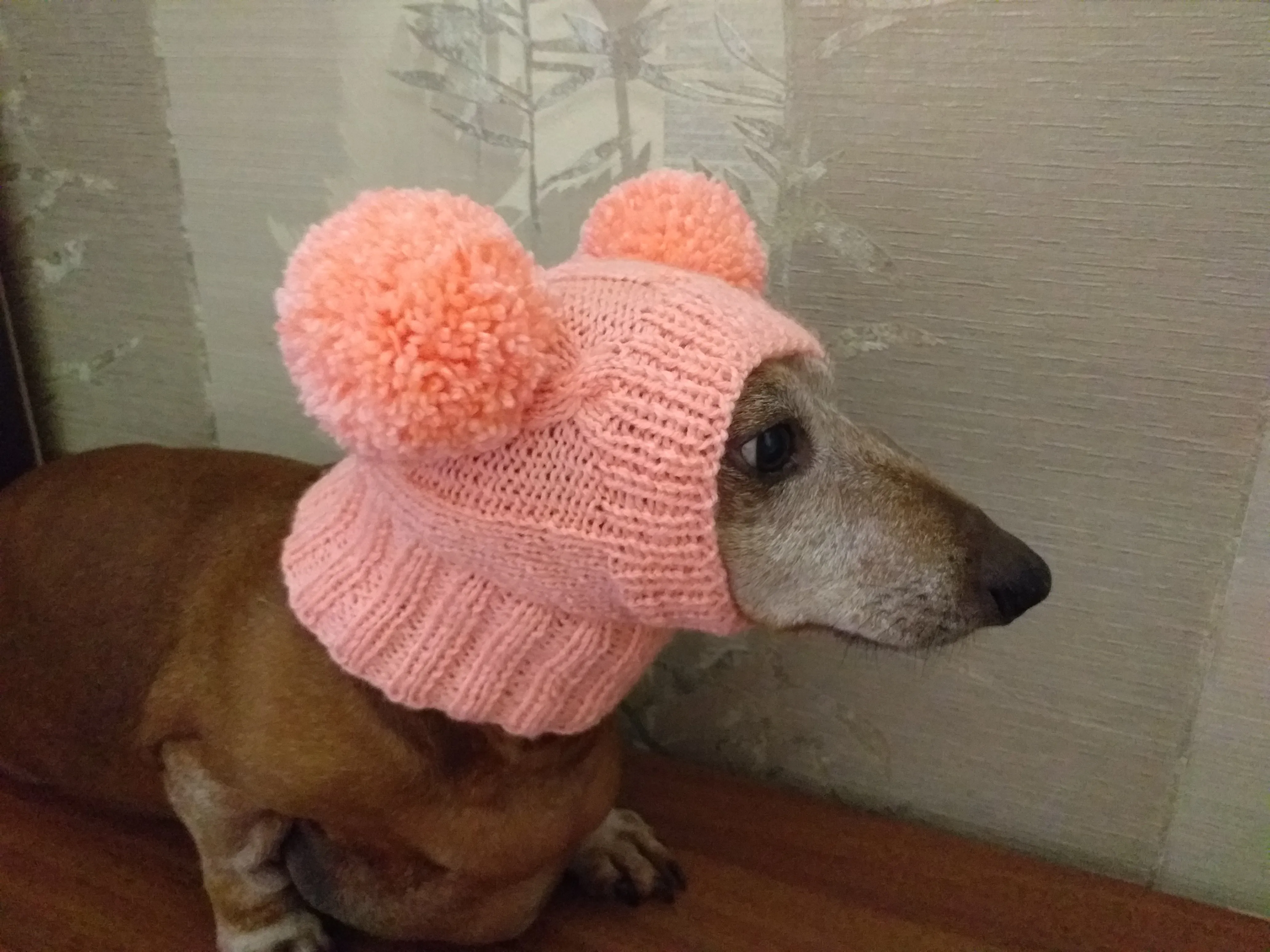 Dachshund clothes pink two pom pom hat, dog pom pom hat, clothes pom pom hat for small dogs