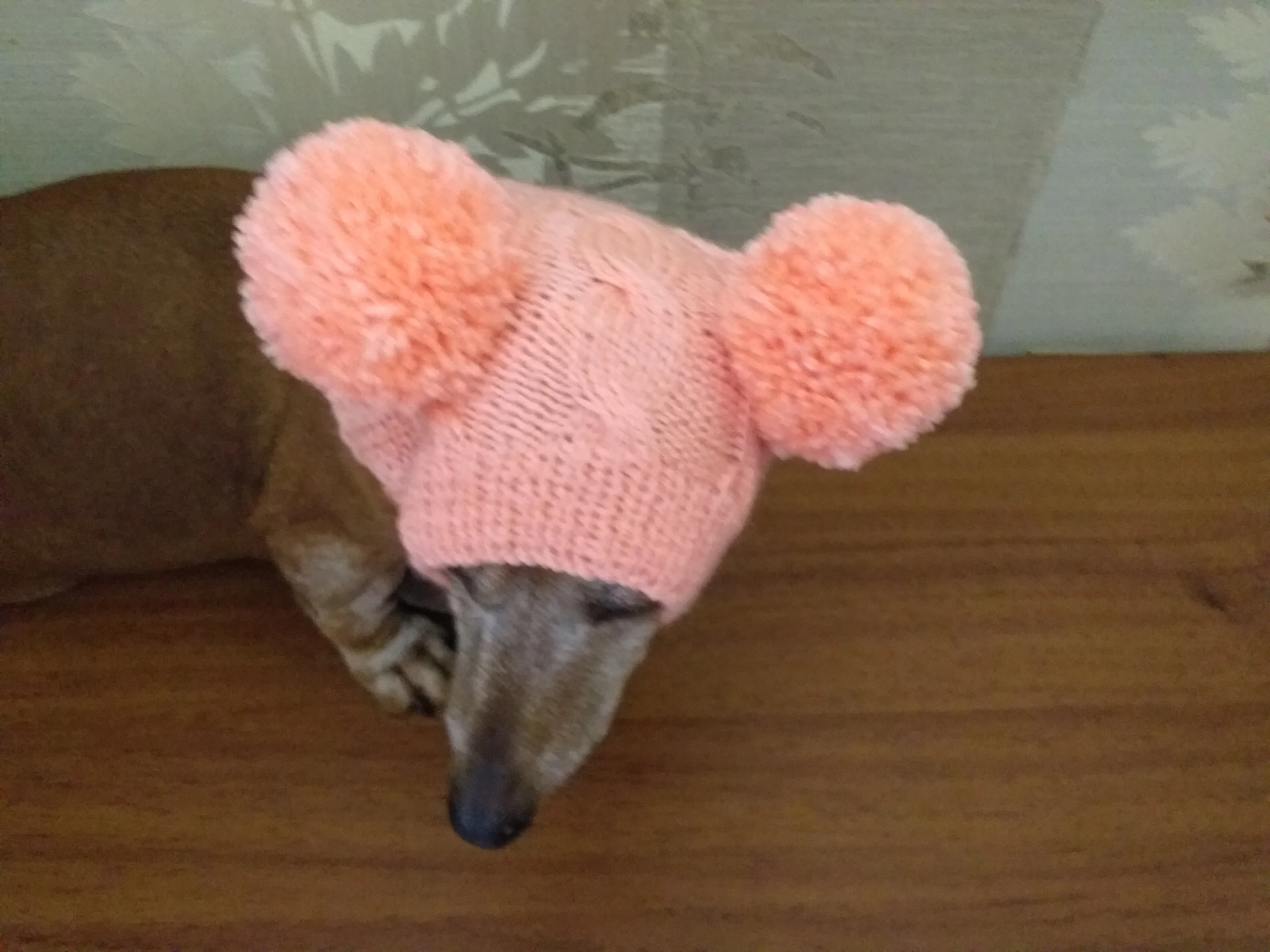 Dachshund clothes pink two pom pom hat, dog pom pom hat, clothes pom pom hat for small dogs