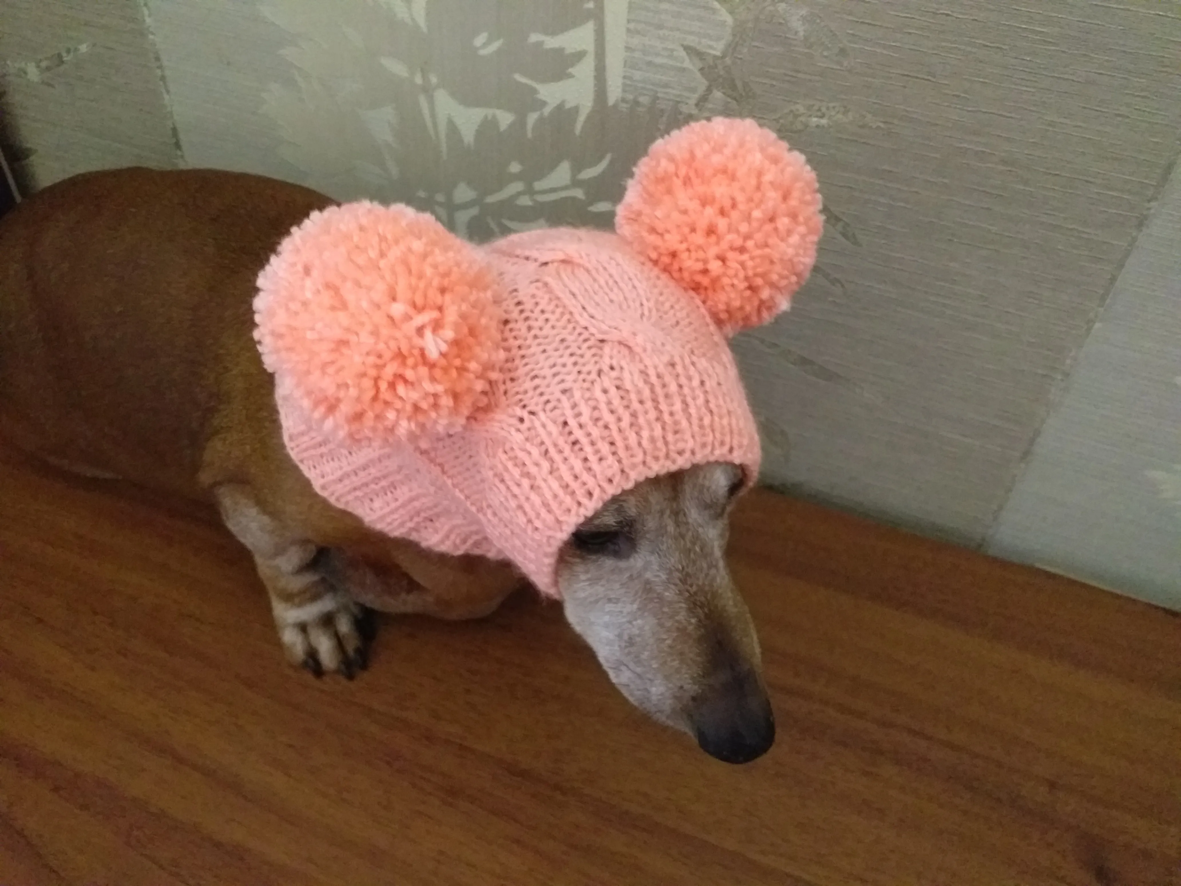 Dachshund clothes pink two pom pom hat, dog pom pom hat, clothes pom pom hat for small dogs