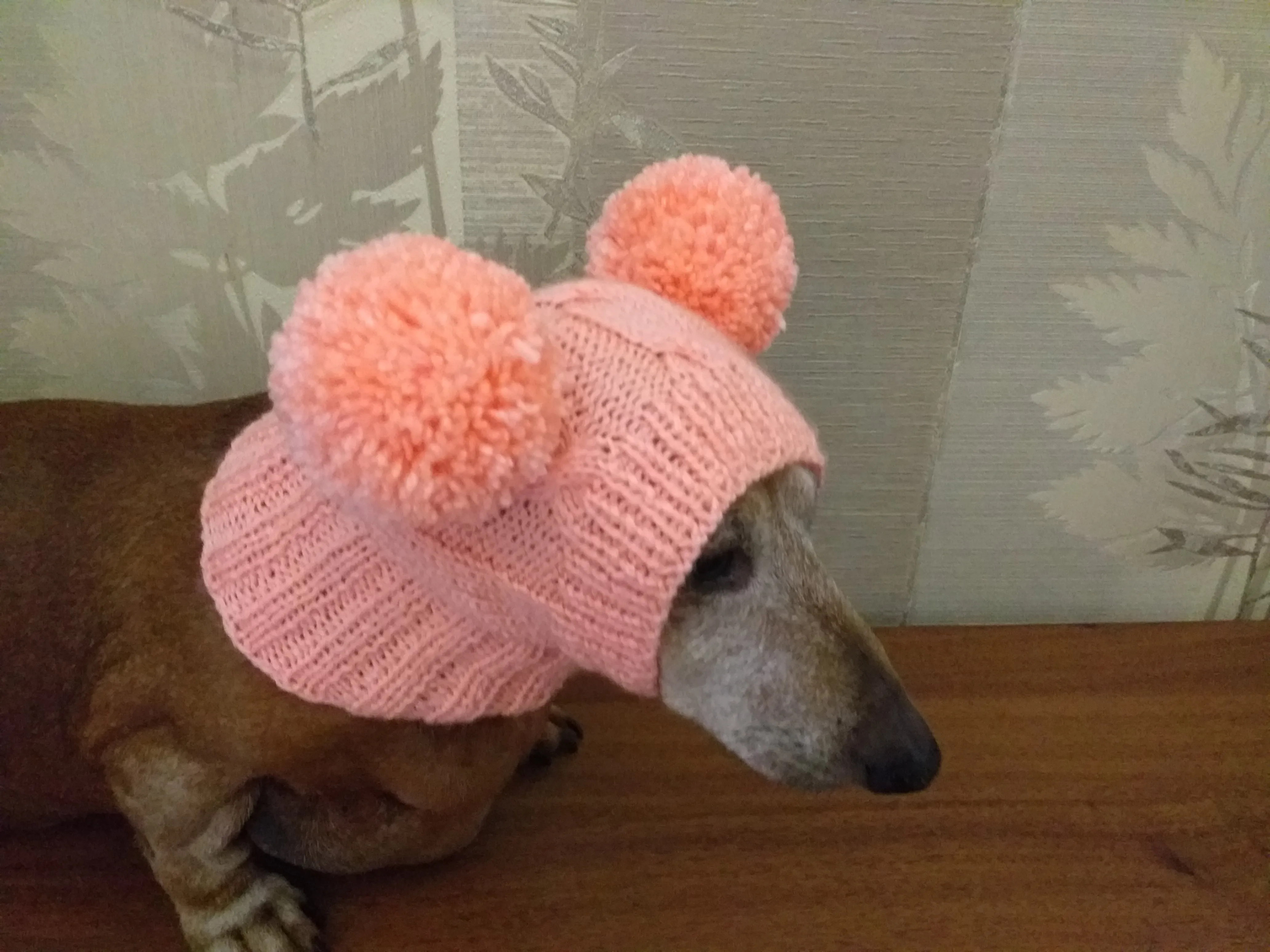 Dachshund clothes pink two pom pom hat, dog pom pom hat, clothes pom pom hat for small dogs