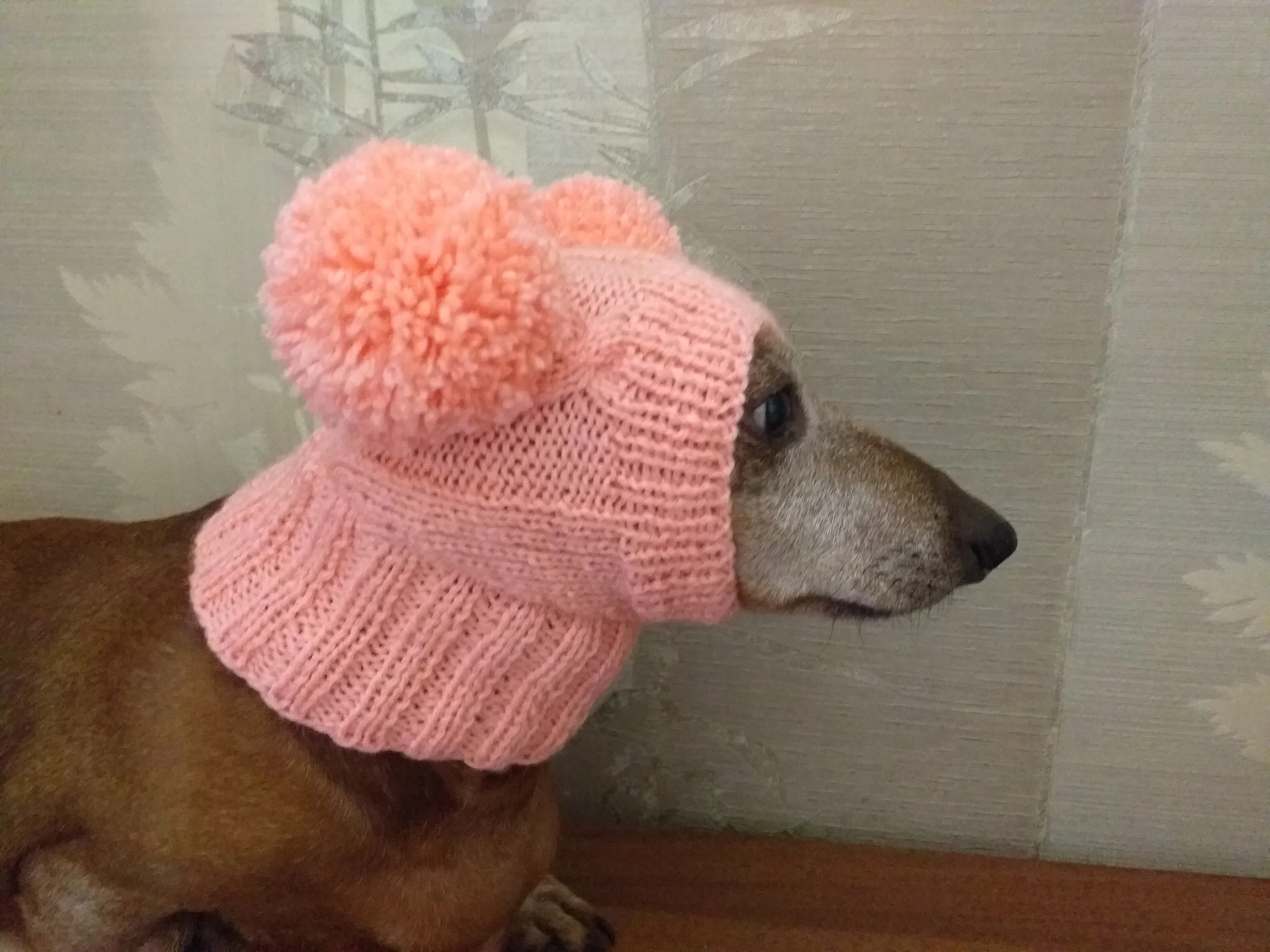 Dachshund clothes pink two pom pom hat, dog pom pom hat, clothes pom pom hat for small dogs