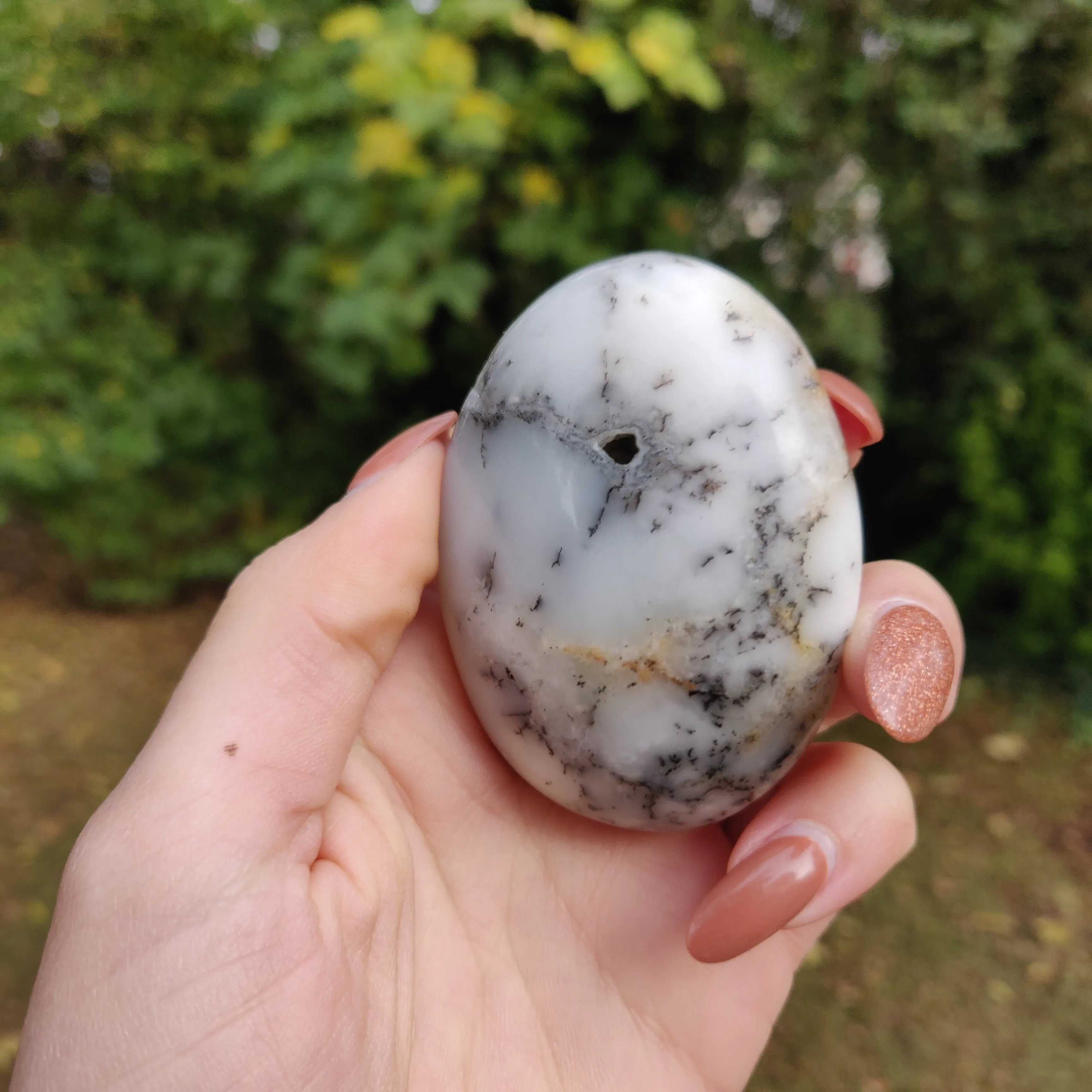 Dendritic Opal  Palm Stone (#14)