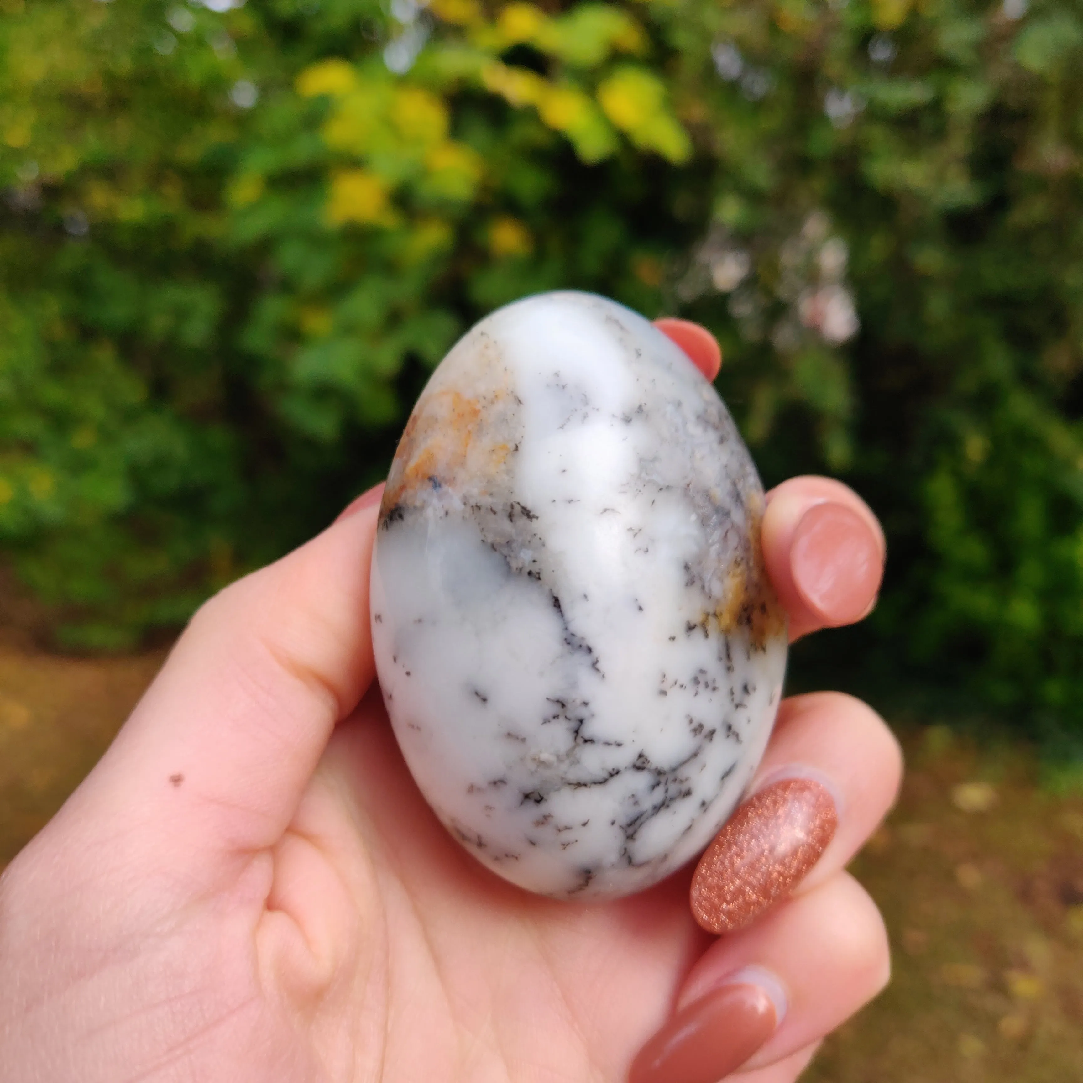 Dendritic Opal  Palm Stone (#14)