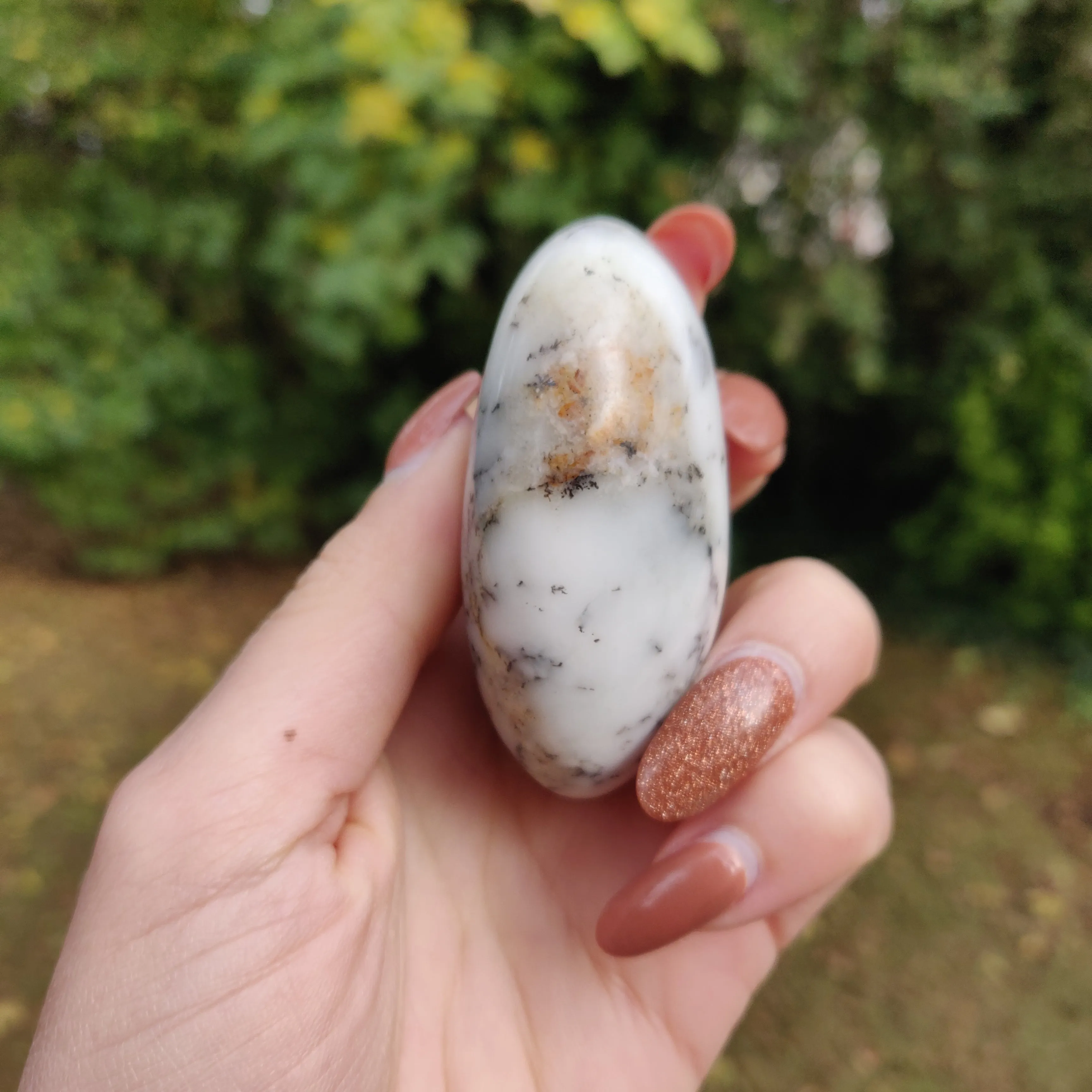 Dendritic Opal  Palm Stone (#14)