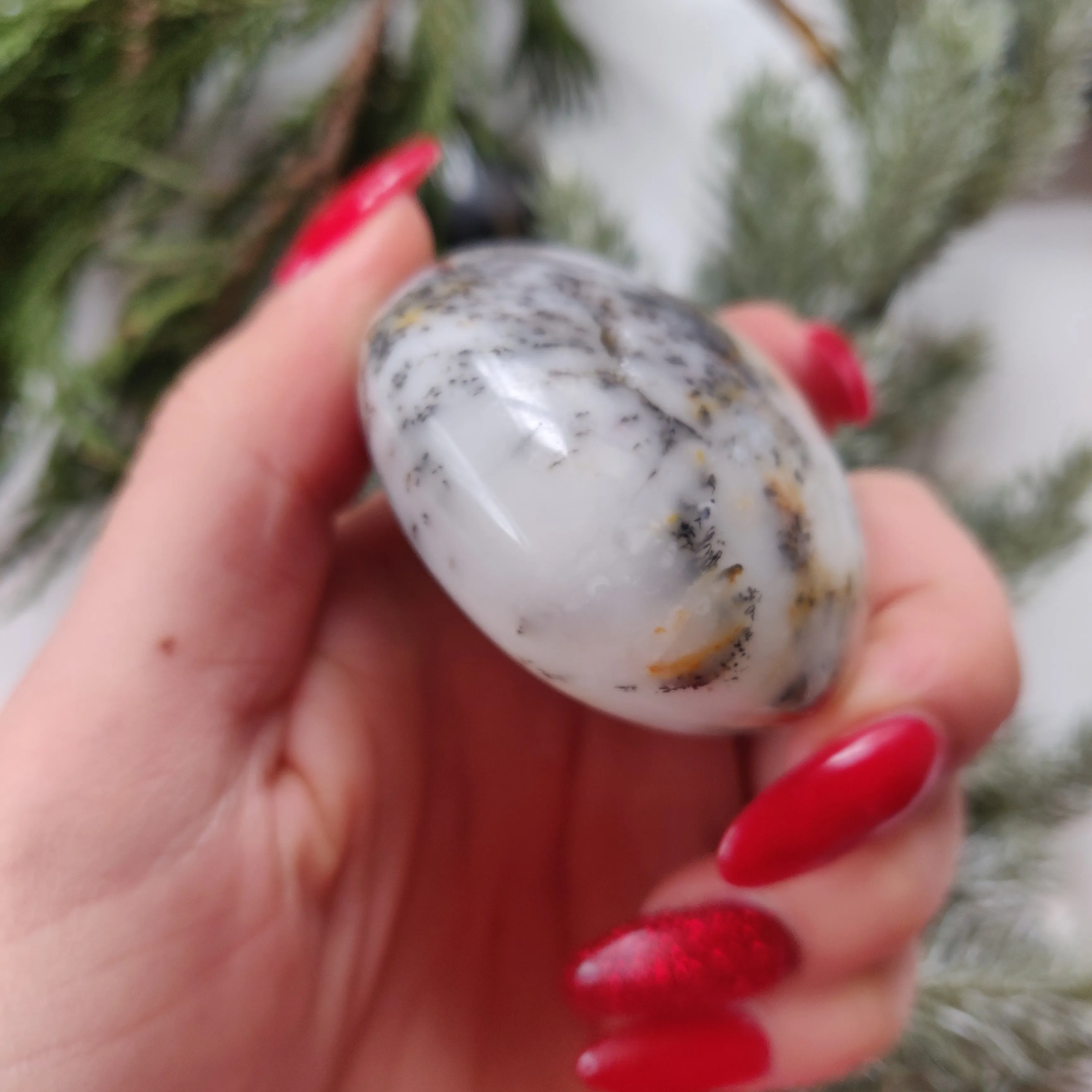 Dendritic Opal  Palm Stone (#19)