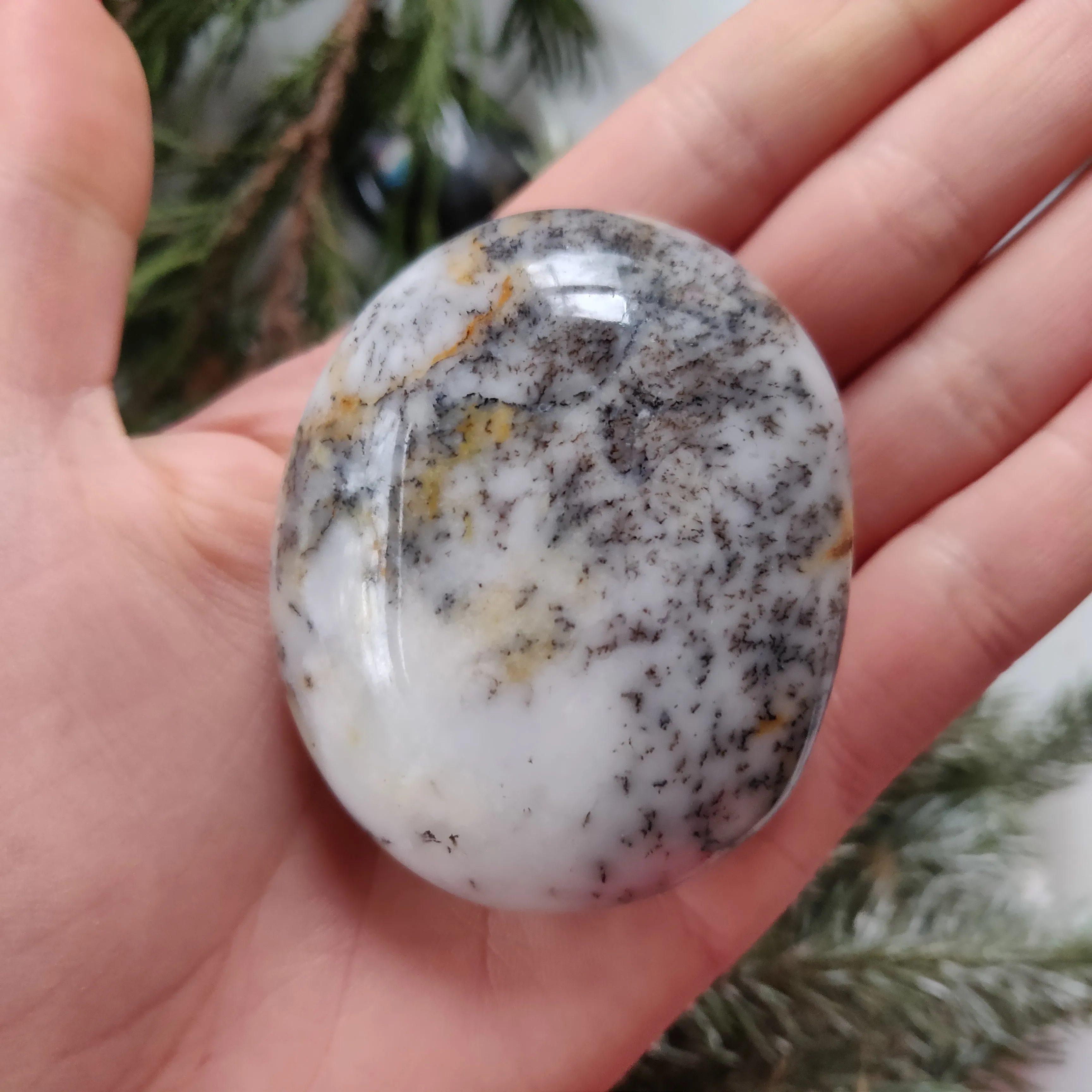 Dendritic Opal  Palm Stone (#19)