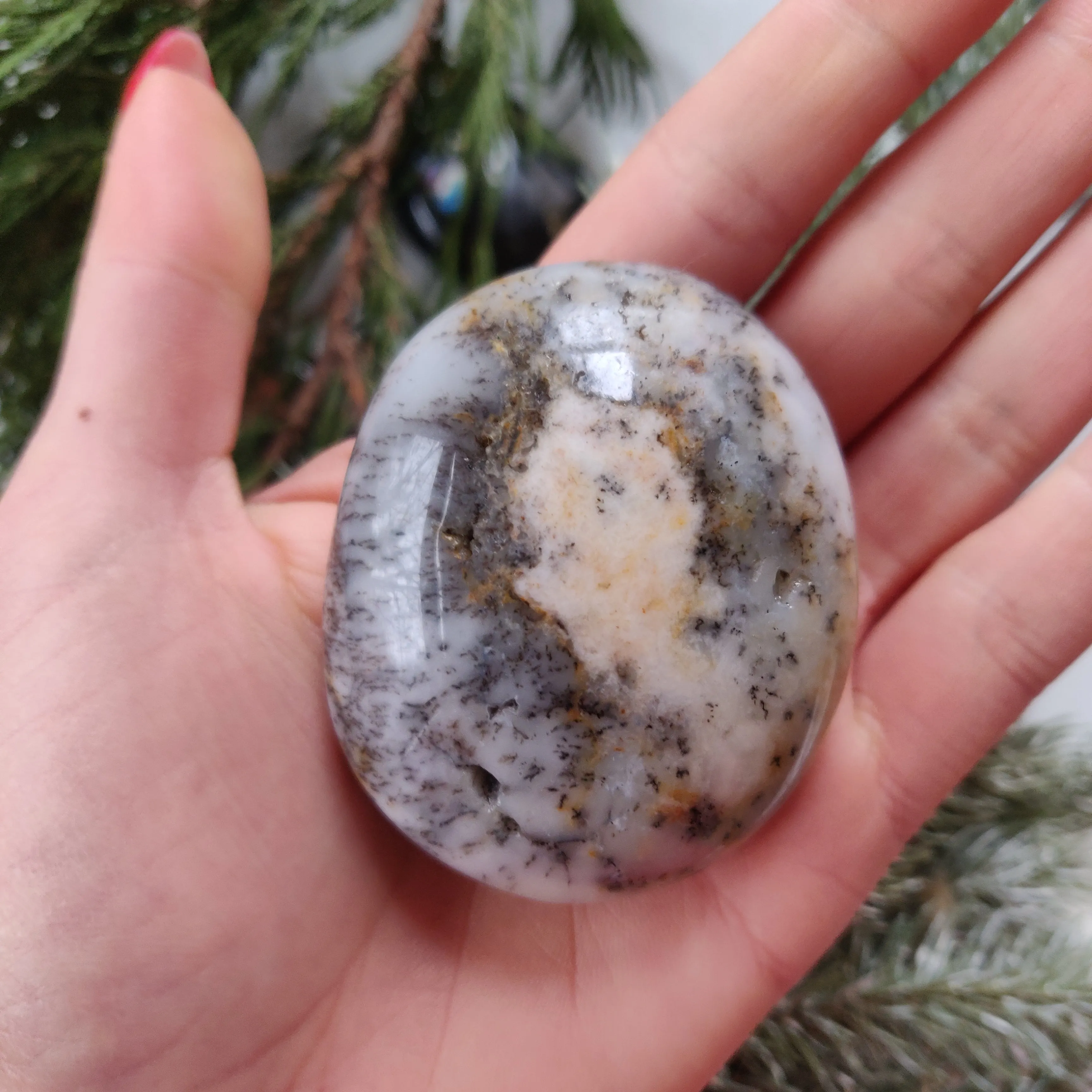 Dendritic Opal  Palm Stone (#19)