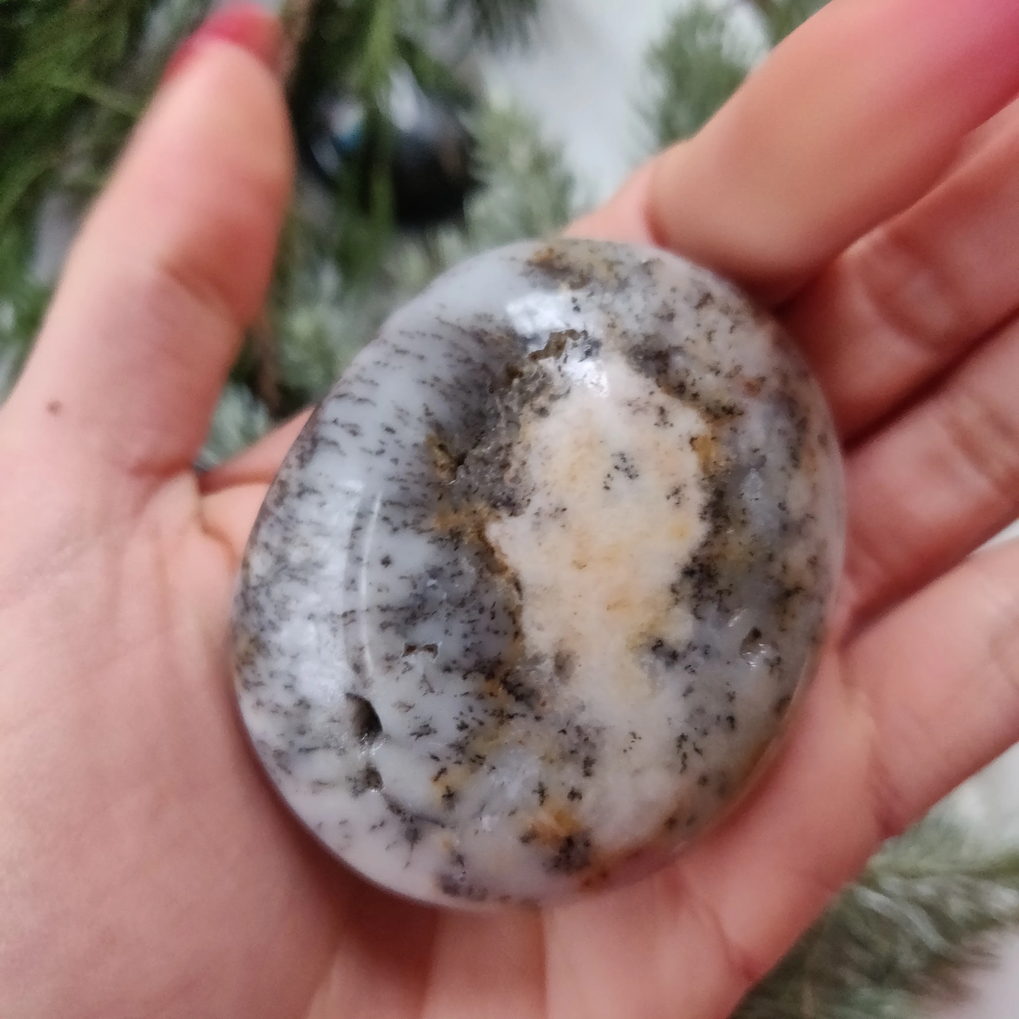 Dendritic Opal  Palm Stone (#19)