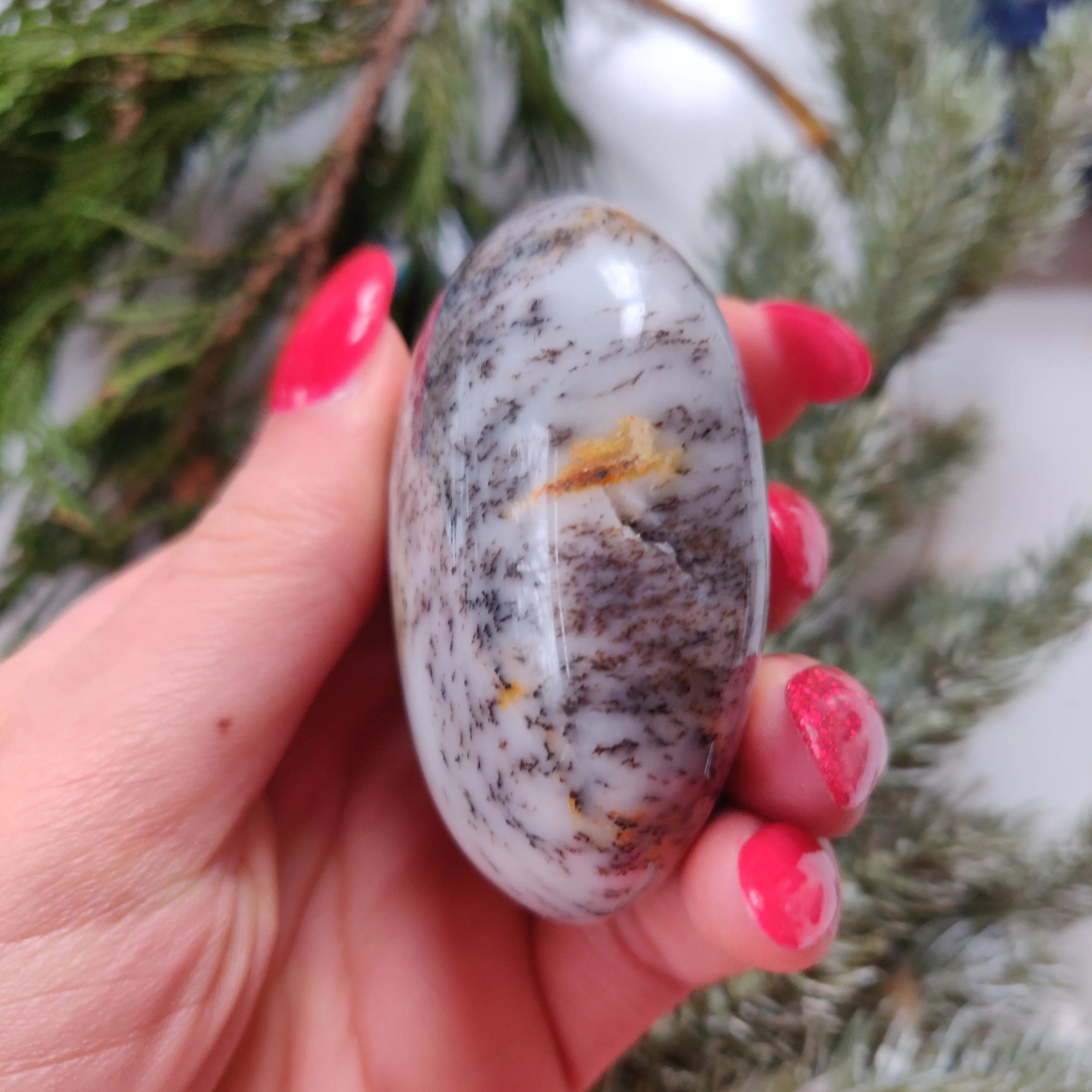 Dendritic Opal  Palm Stone (#19)