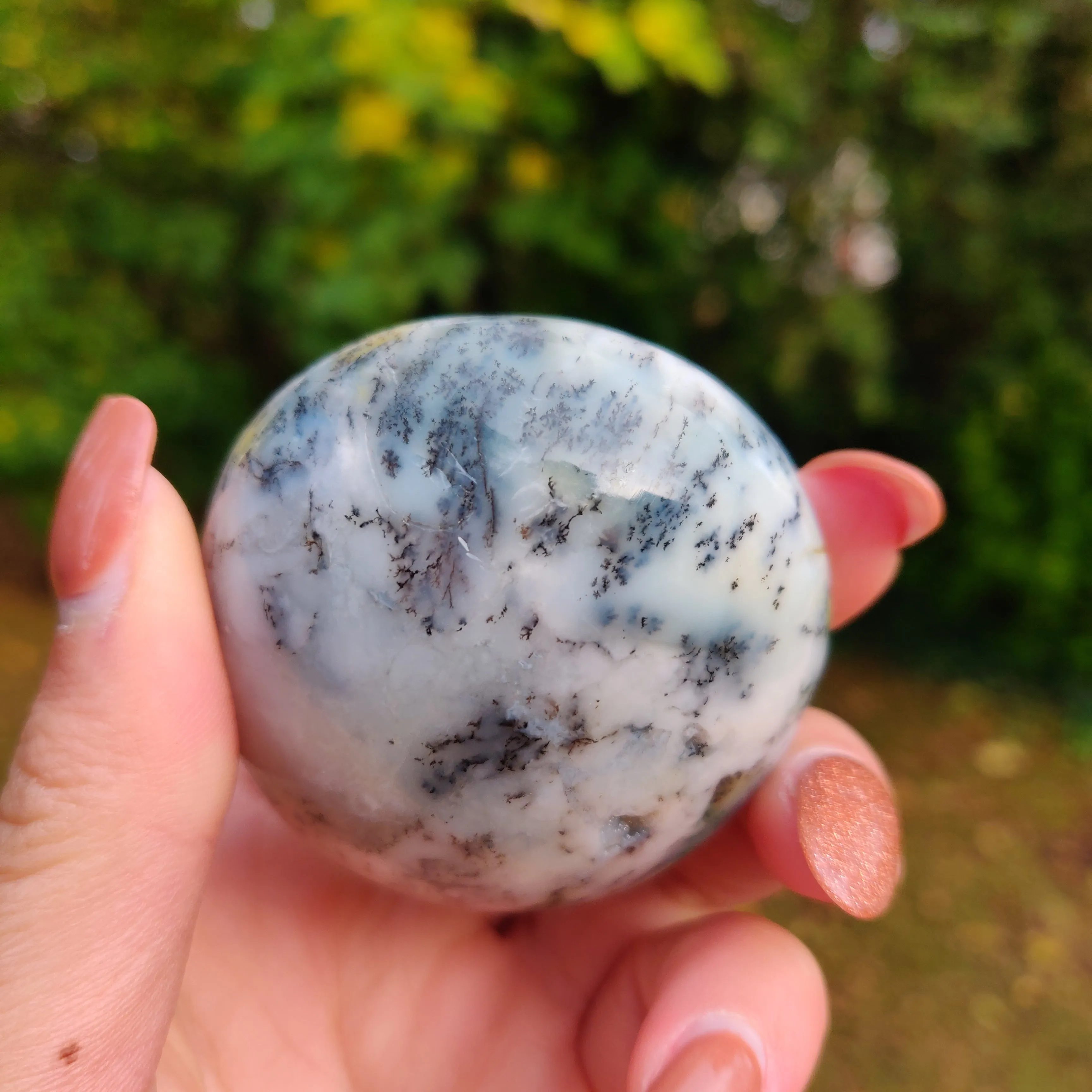 Dendritic Opal  Palm Stone (#5)