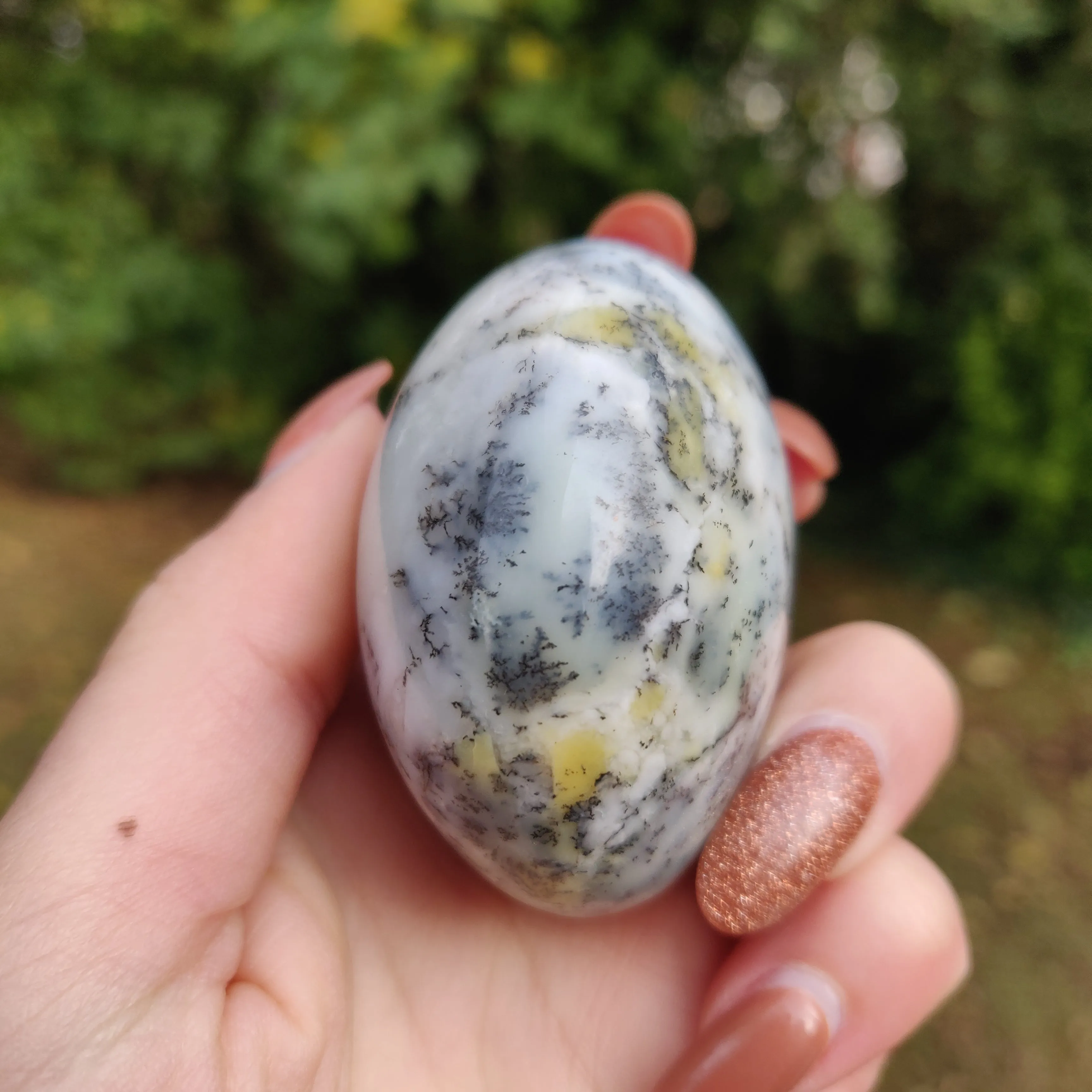 Dendritic Opal  Palm Stone (#5)