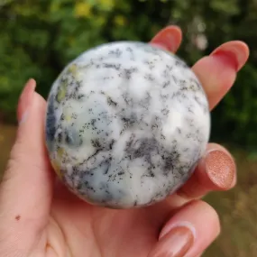 Dendritic Opal  Palm Stone (#5)