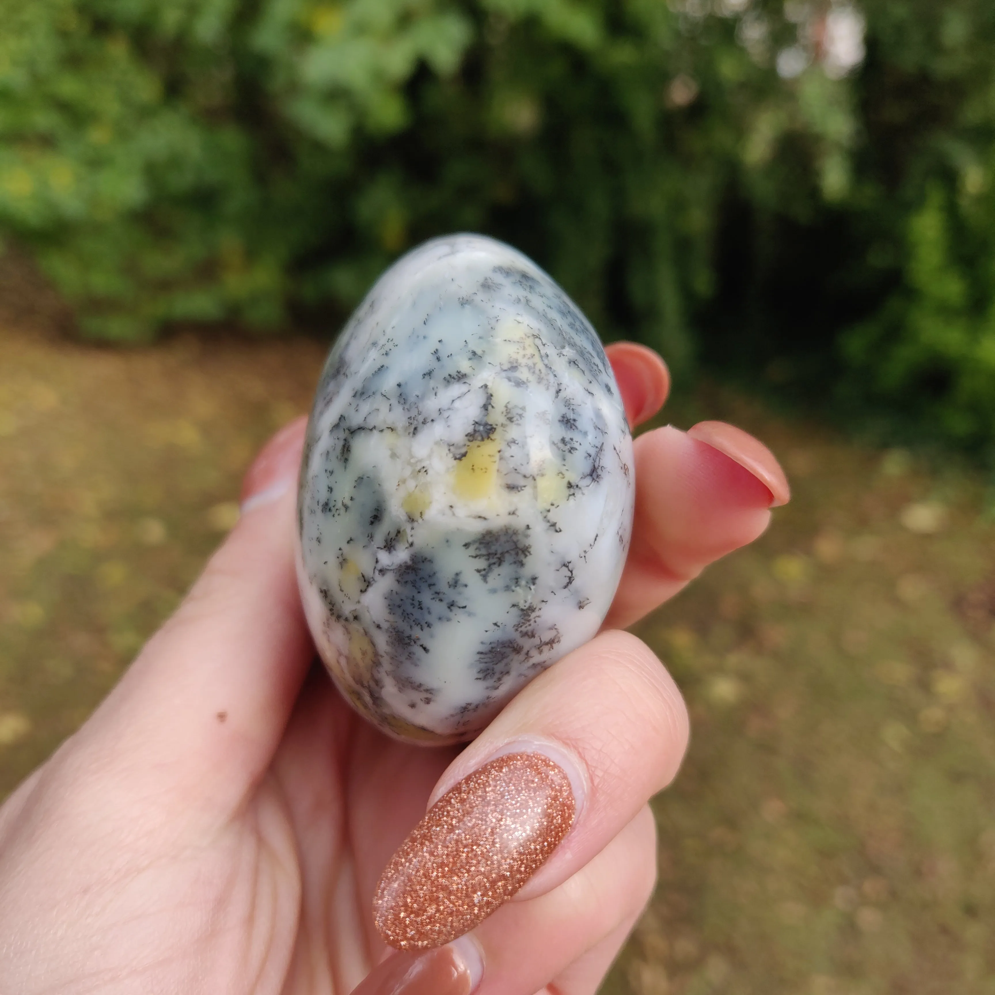 Dendritic Opal  Palm Stone (#5)