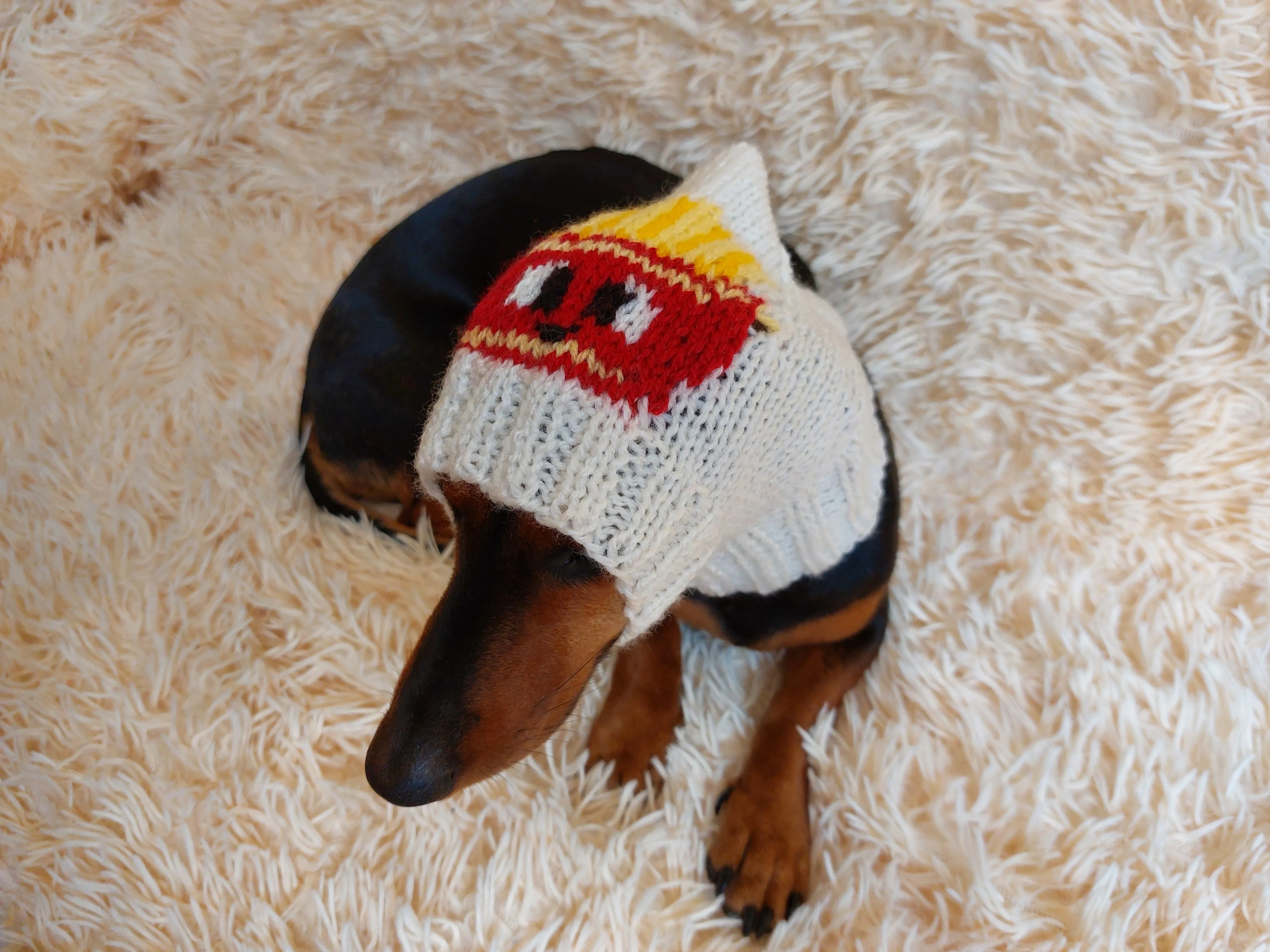 Original pet hat with french fries, dog hat food french fries