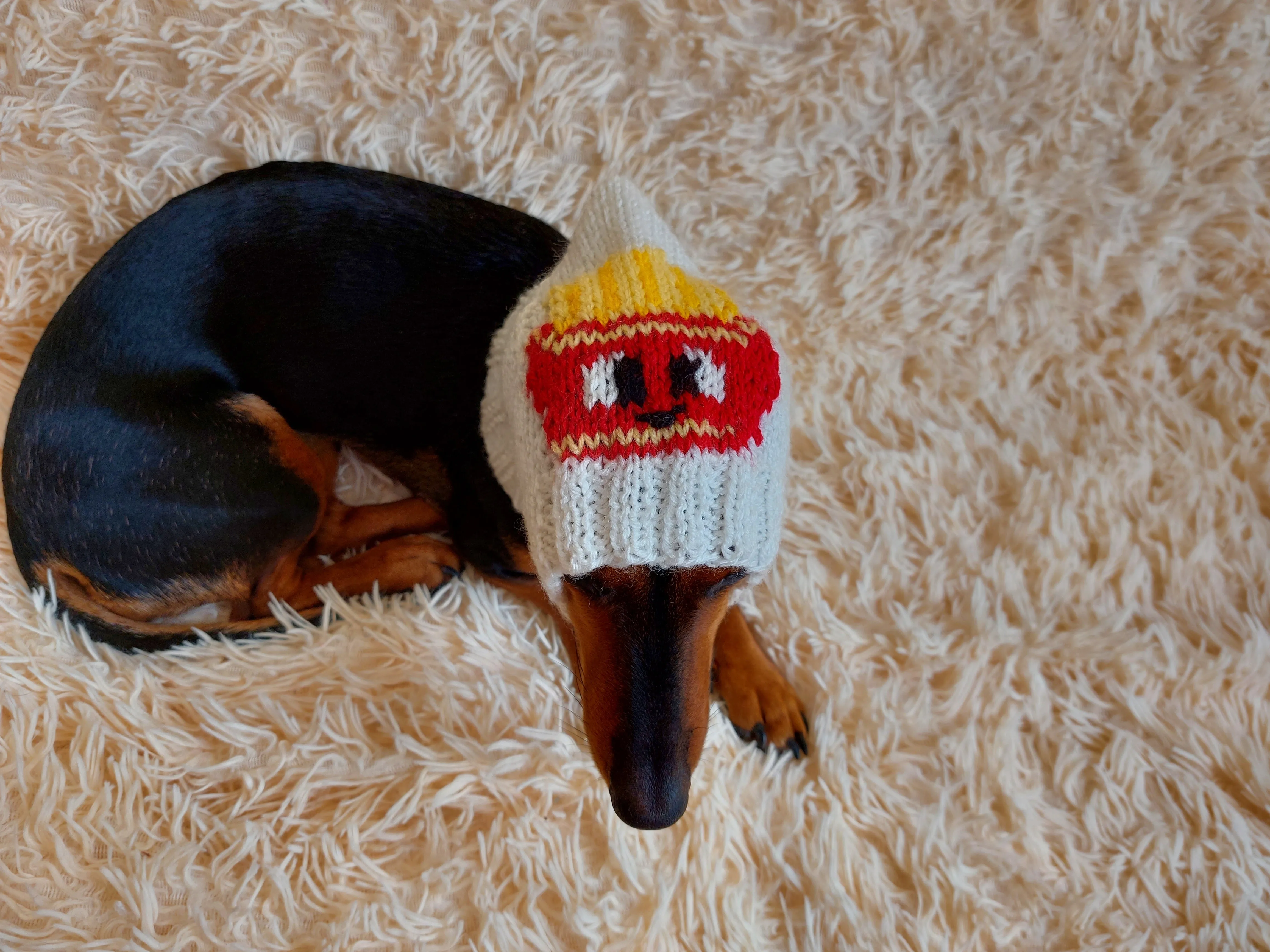 Original pet hat with french fries, dog hat food french fries
