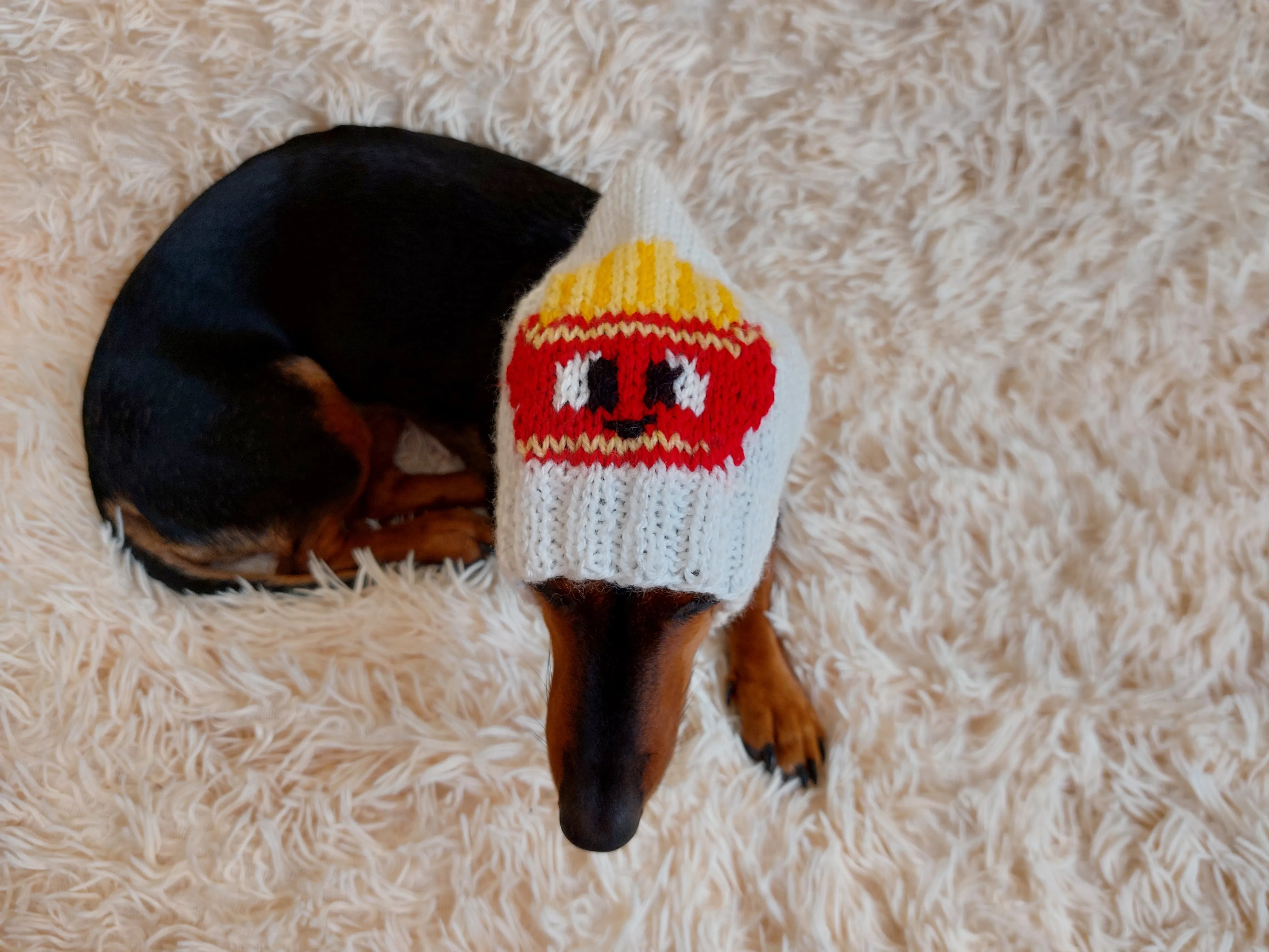 Original pet hat with french fries, dog hat food french fries