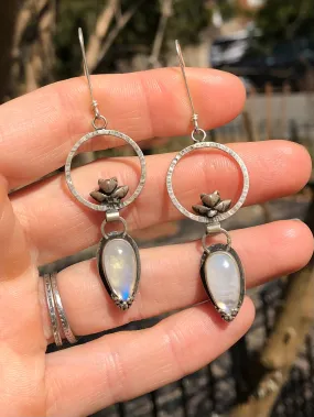 Rainbow Moonstone Succulent Hoops