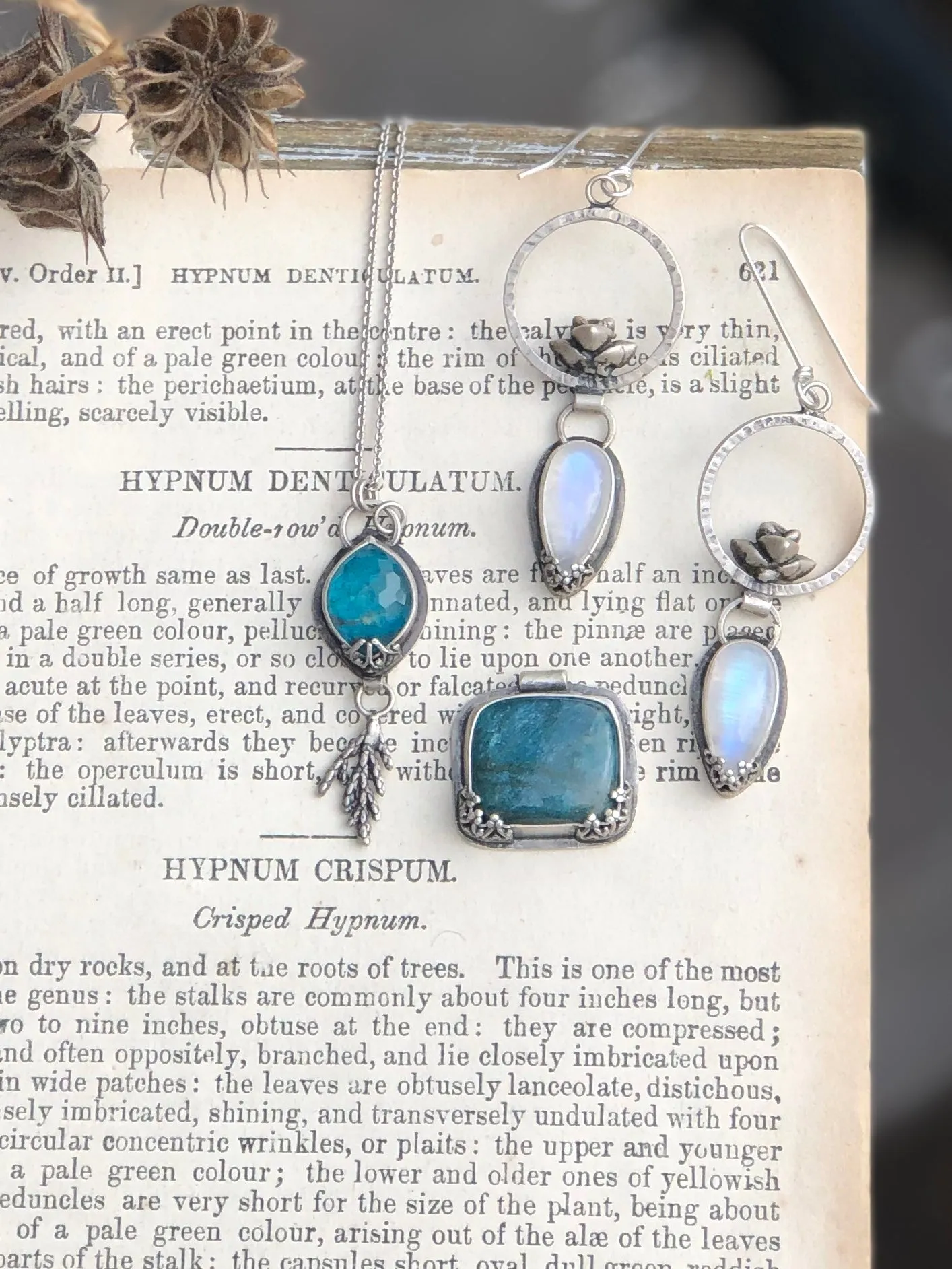 Rainbow Moonstone Succulent Hoops