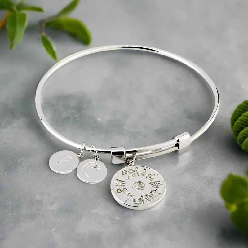 Silver History Of Ireland Disc Charm Bangle