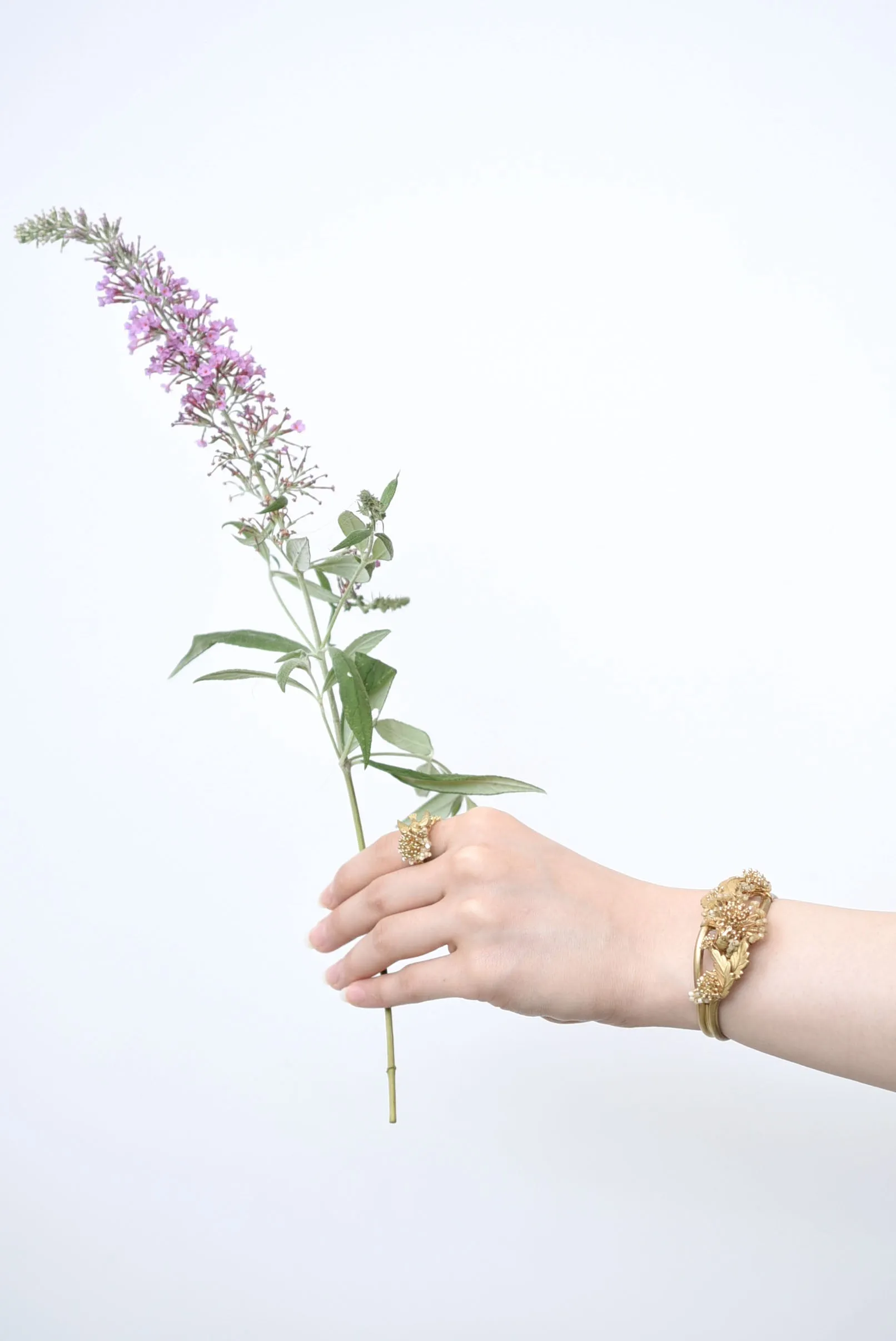 tanpopo bangle